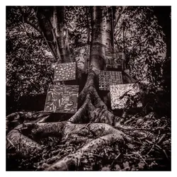 Young Turks, Schallplatten, Harmony Of Difference (Kamasi Washington)