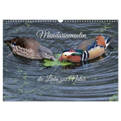Mandarinenenten, die Liebe zur Natur (Wandkalender 2027 DIN A3 quer), CALVENDO Monatskalender