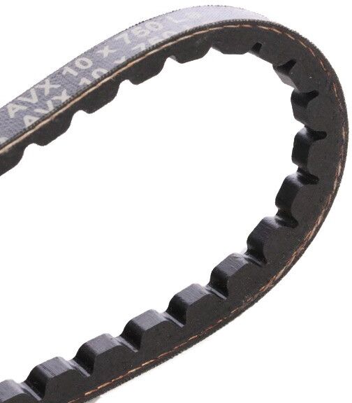 CONTITECH AVX10X750 V-Belt
