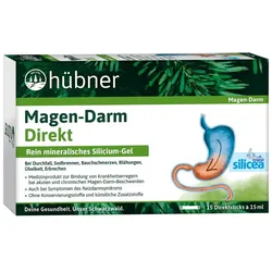 Hübner Magen-Darm Direkt, Portionssticks 15 x 15 ml 15X15 ml