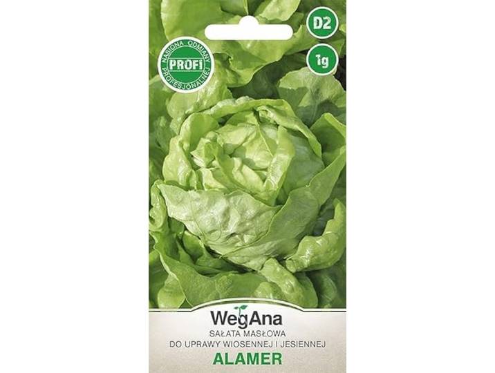 WegAna Botersla Alamer zaden 1g, Groene sla, Botersla, Robuuste groentezaden, Groentezaden, Kweekzaden, Kaszaden