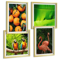 BILDER SET 4er Set - 50x50 cm & 40x60 cm Goldrahmen - Fruchtige Akzente der Tropen