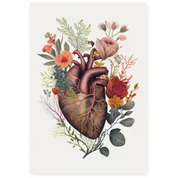 POSTER Set Mit 6 Anatomisches Eines Herzens Auf Weißem Hintergrund A3 Rahmenlos