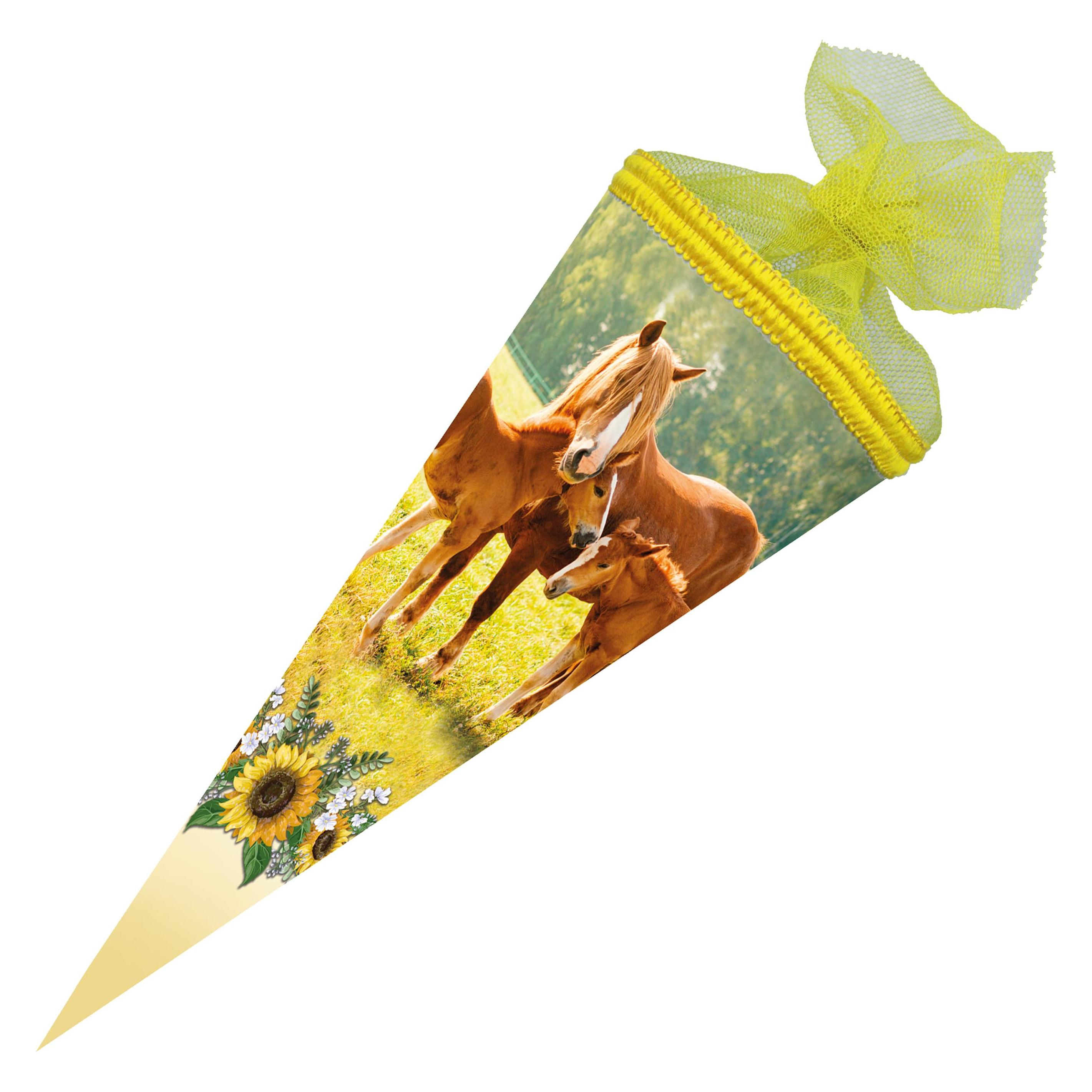 Iden Schultüte Fohlenweide 22cm rund (43432303)