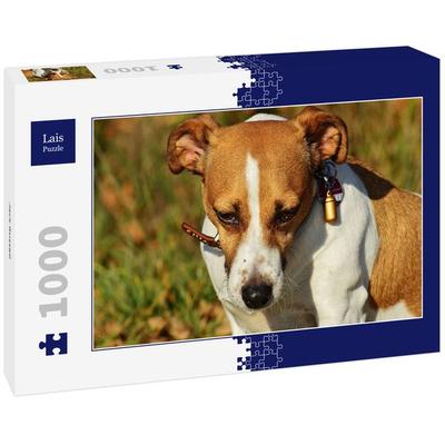Lais Puzzle Jack Russell 1000 Teile