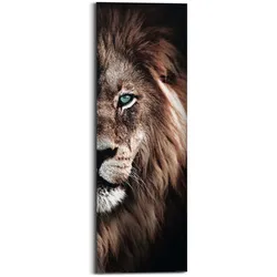 Bild HALF LION (LBH 30x2x90 cm) - bunt - LBH 30x2x90 cm