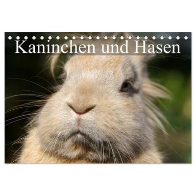 Kaninchen und Hasen (Tischkalender 2026 DIN A5 quer), CALVENDO Monatskalender