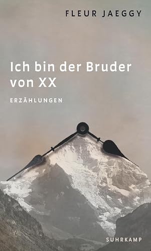 Fleur Jaeggy - Ich bin der Bruder von XX: Erzählungen Die internationale Neuentdeckung einer großen Autorin - Preis vom 06.10.2026 07:26:00 h