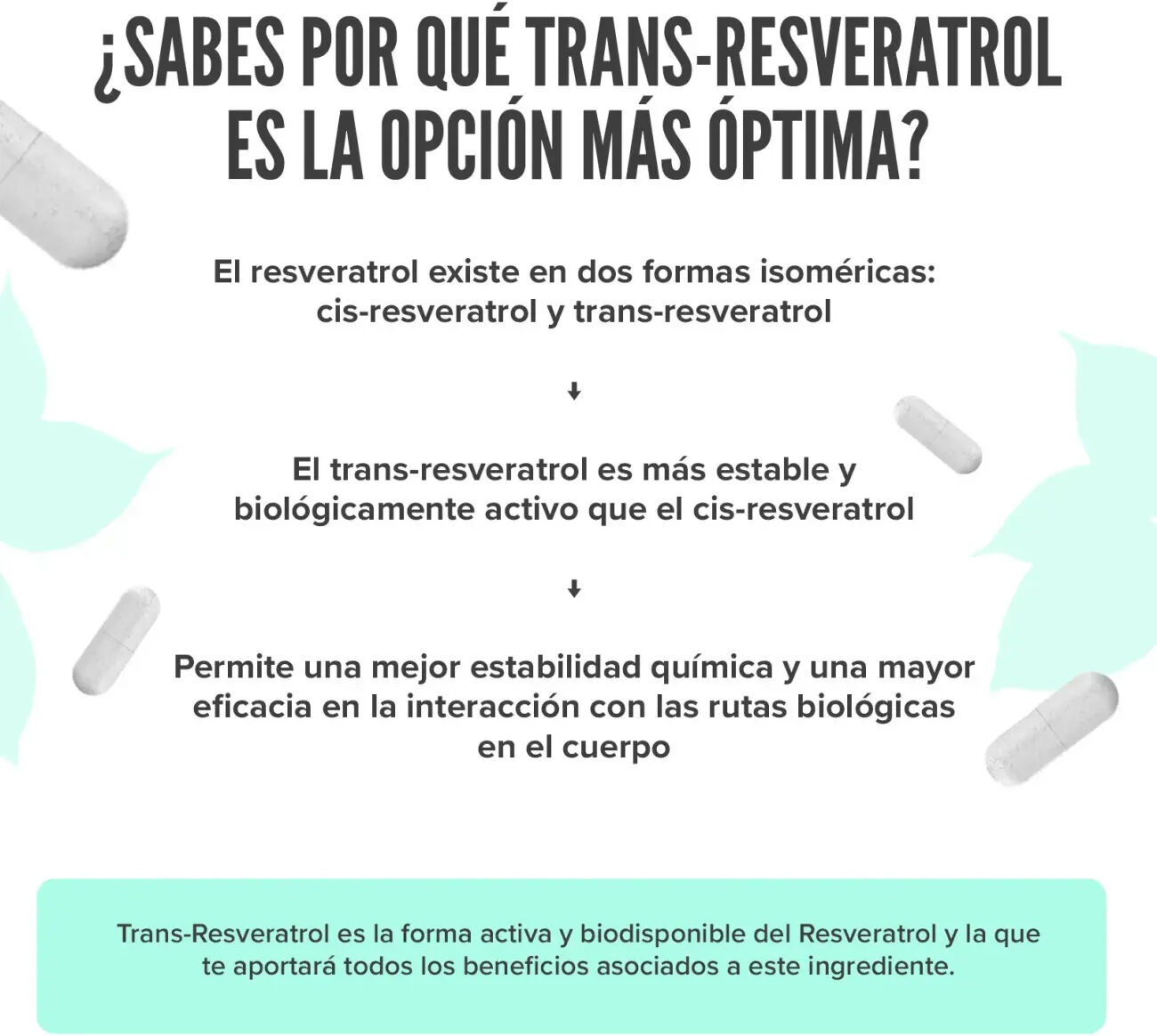 HSN Resveratrol 120mg - 120 veg caps - Antioxidantes - Cápsulas Vegetales - 120  Servicios