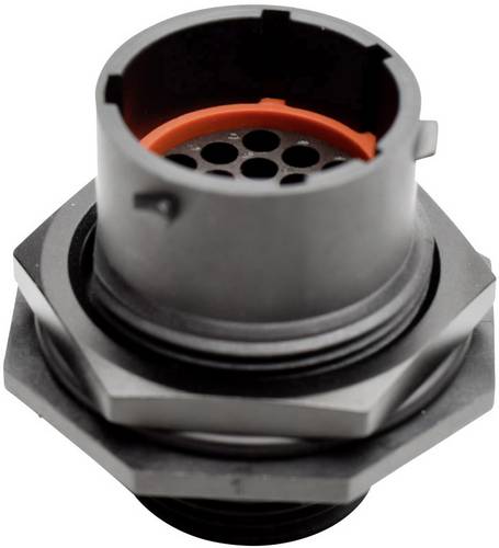 Amphenol RTS 7 14N 19P03 Rundstecker Stecker, gerade Gesamtpolzahl: 19 Serie (Rundsteckverbinder): Ecomate Aquarius 1St.