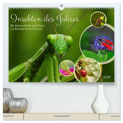 Insekt des Jahres (hochwertiger Premium Wandkalender 2027 DIN A2 quer), Kunstdruck in Hochglanz