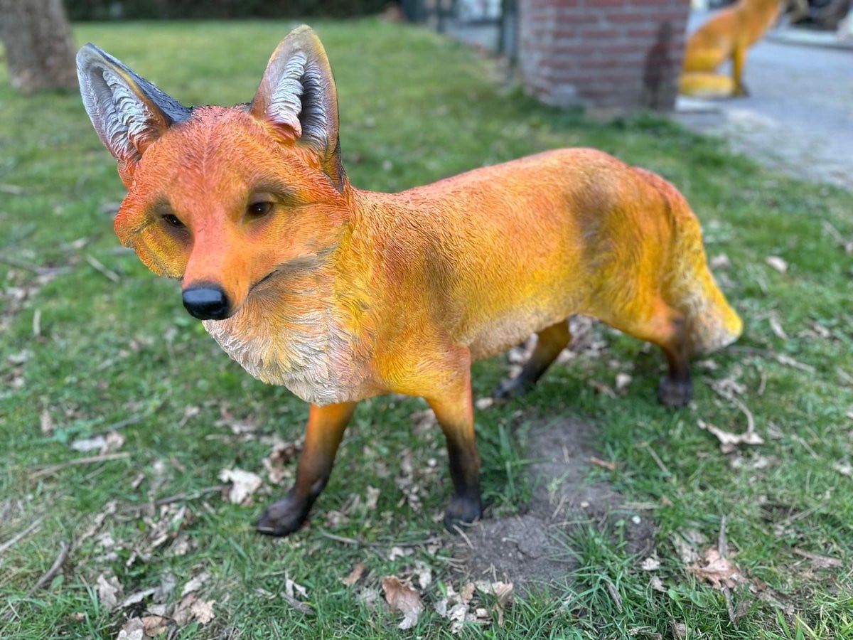 Goodyz Staande Vos XXL Rood/Bruin