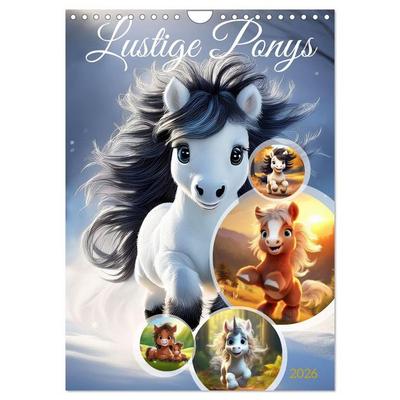 Lustige Ponys (Wandkalender 2026 DIN A4 hoch), CALVENDO Monatskalender