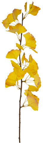 Künstlicher Ginkgozweig, 70 cm