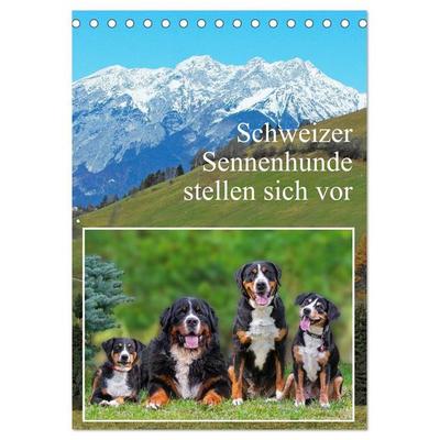 Schweizer Sennenhunde stellen sich vor (Tischkalender 2027 DIN A5 hoch), CALVENDO Monatskalender