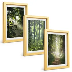 BILDER SET 3er Set - 20x30 cm Goldrahmen - Grüne Wälder mit Lichtstrahlen