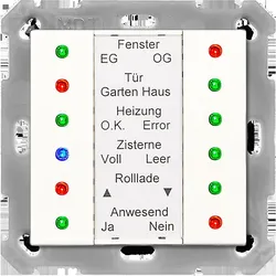 MDT technologies LED Anzeige rws/glänzend SCN-LED55.01