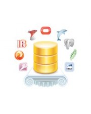 Devart UniDAC Professional Edition with Source Code Lizenz 1 Entwickler mit Quellcode (300254968)