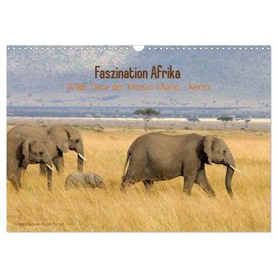 Faszination Afrika - wilde Tiere der Masai Mara - Kenia (Wandkalender 2027 DIN A3 quer), CALVENDO Monatskalender