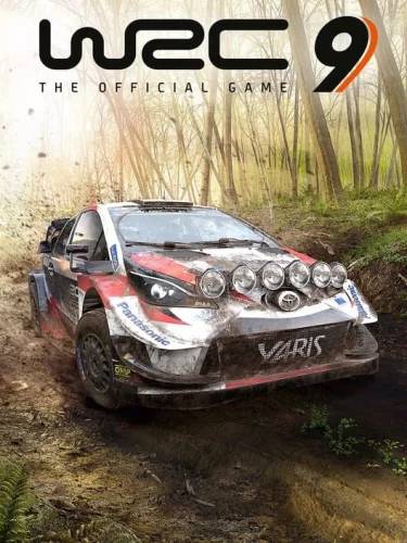 WRC 9 FIA World Rally Championship PC Steam CD Key