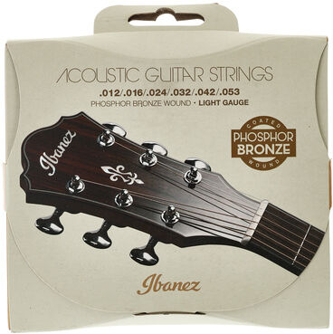 Ibanez IACSP6C Acoustic Steel Strings