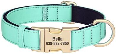 Uplift Treasures Personalized Waterproof Nylon Dog Collar With Free Engraving green s