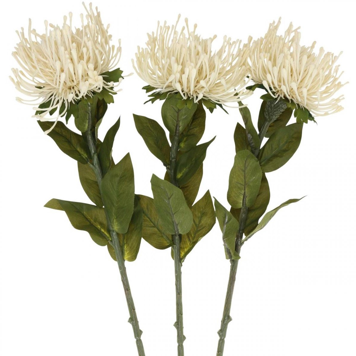 Viana Kunstbloemen Exotische Protea Leucospermum Crème 73 cm