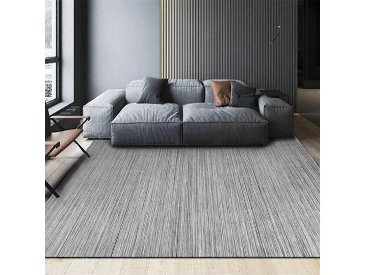 Ensemble Salon Complet Tapis Parc Bebe Tapis de Salon rectangulaire Gris Moderne Lavable en Machine sans 60x90cm[4294]