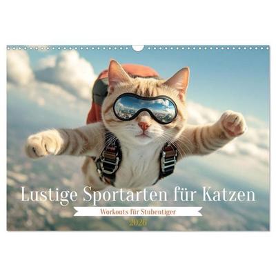 Lustige Sportarten für Katzen (Wandkalender 2026 DIN A3 quer), CALVENDO Monatskalender