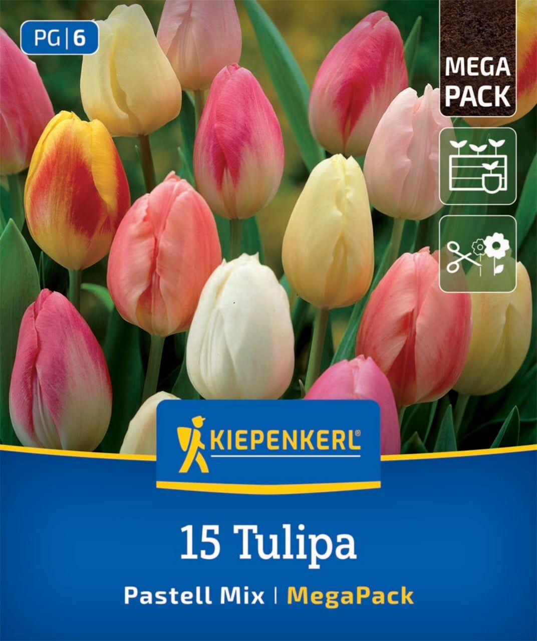 Kiepenkerl Herbstblumenzwiebel Tulpen Pastell Farbenspiel 15 Stück