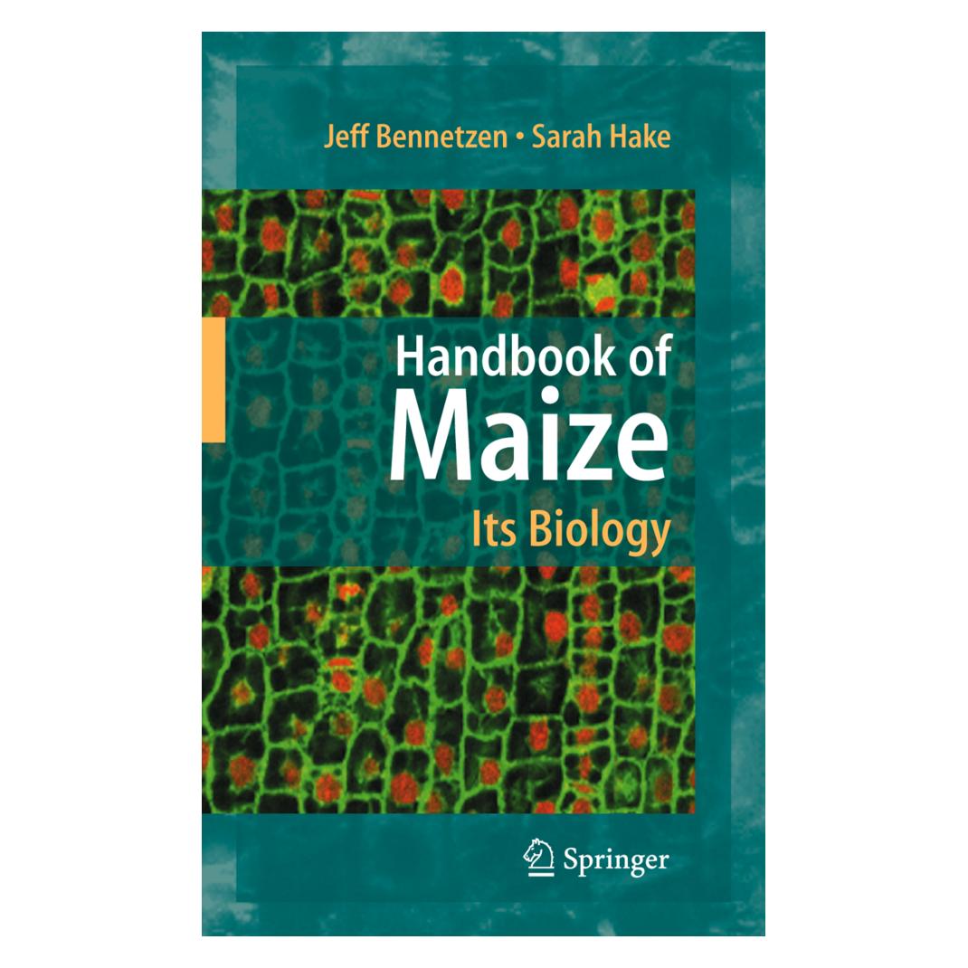 Springer Handbook of Maize: Its Biology (Englisch, Softcover, Jeff L. Bennetzen, Sarah C. Hake) (55389416)