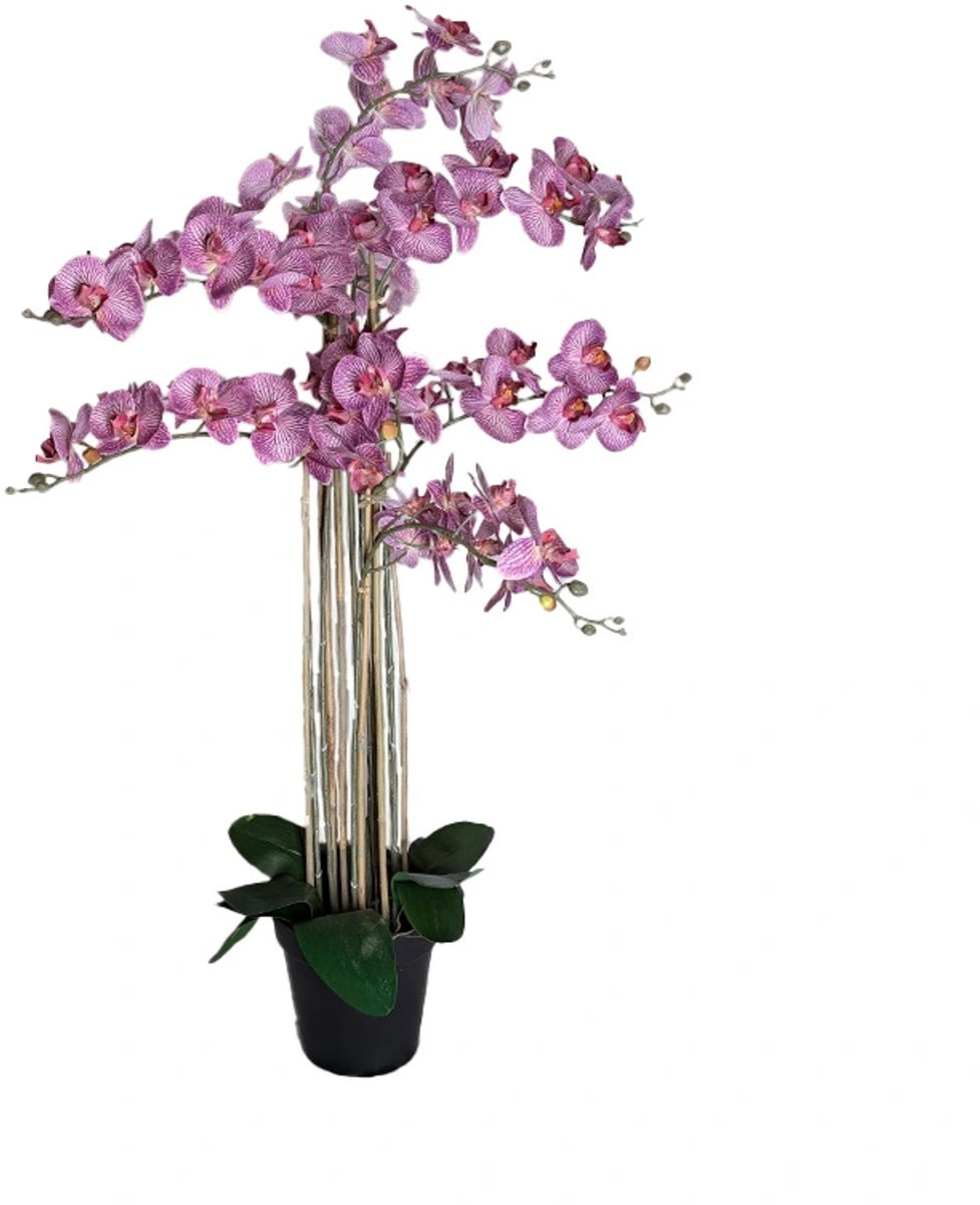 Kunst Phalaenopsis Orchidee in Pot Tiger Cerise - 110 cm