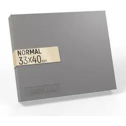 NEOLYMP Balance Pad Rutschfester Gleichgewichtstrainer für Physio, Größe 33 x 40 cm in Grau Grau