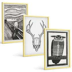 BILDER SET 3er Set - 40x60 cm Goldrahmen - Grafiken mit schreiendem Totenkopf-Eulen