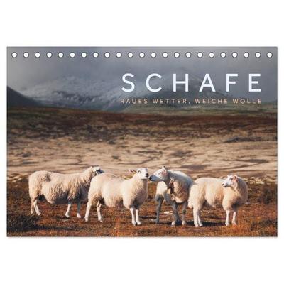 Schafe - Raues Wetter, weiche Wolle (Tischkalender 2026 DIN A5 quer), CALVENDO Monatskalender