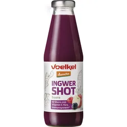 Shot Ingwer Beere DEMETER 0,5l