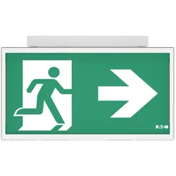 Ceag Notlichtsysteme Rettungszeichenleuchte FT3EC4IWLS18
