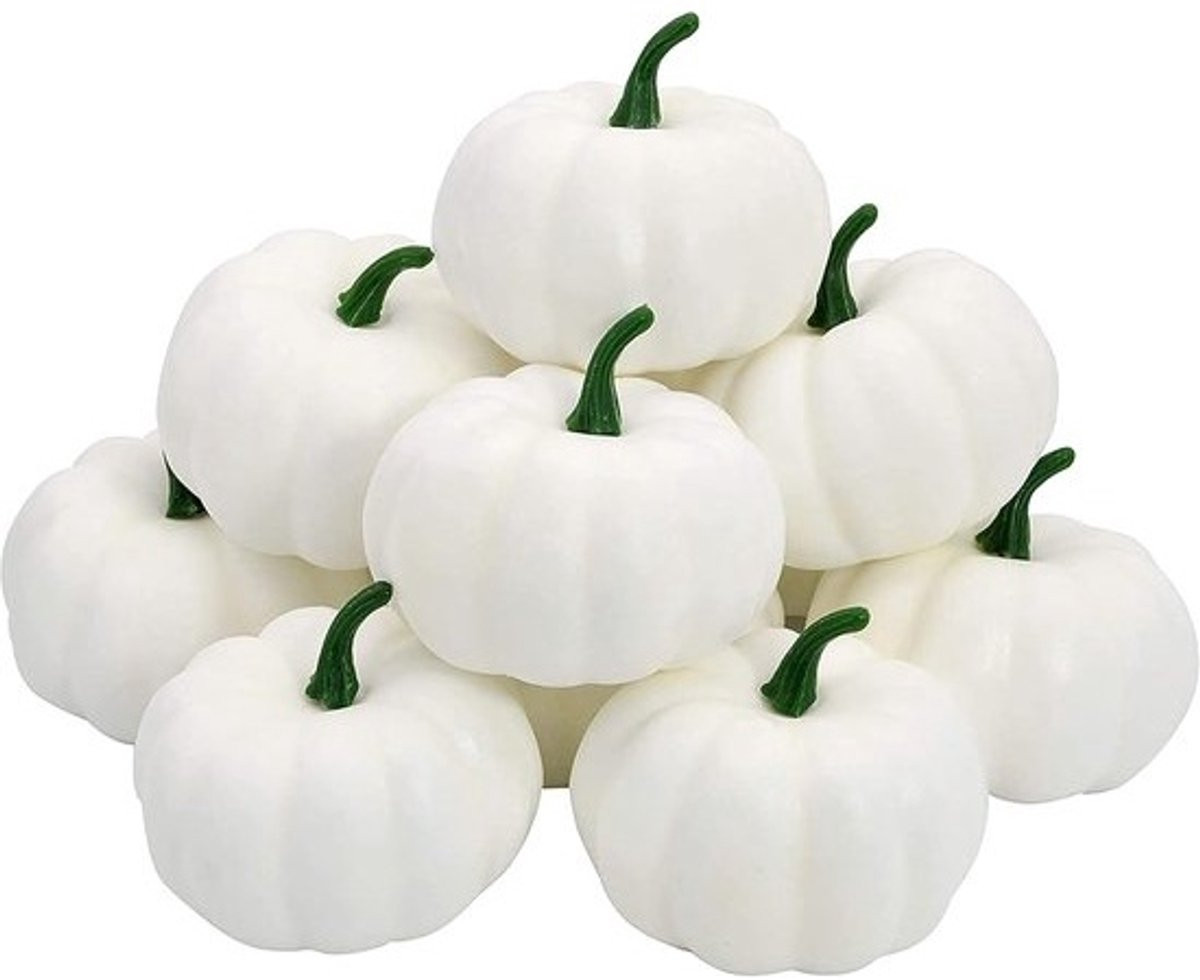 12 stuks mini kunstpompoenen voor herfst- en oogstdecoratie