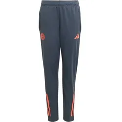 ADIDAS Kinder Fanhose FC Bayern München Tiro 25 Competition Kids, Größe 164 in Grau Grau