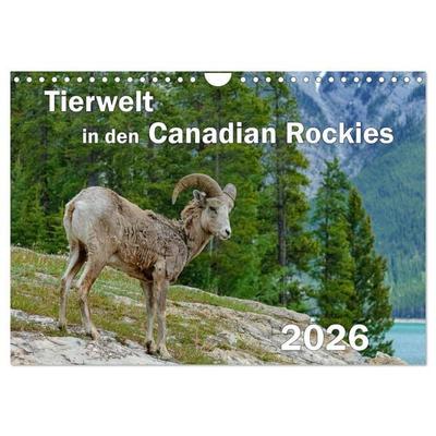 Tierwelt in den Canadian Rockies (Wandkalender 2026 DIN A4 quer), CALVENDO Monatskalender