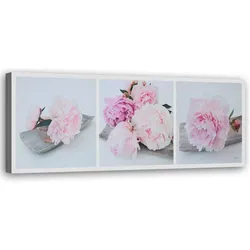 WANDBILD rosa pfingstrosenblüten