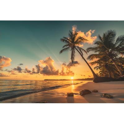 Papermoon "PALMEN-STRAND-KARIBIK SÜDSEE MEER DÜNEN SONNE OZEAN XXL"