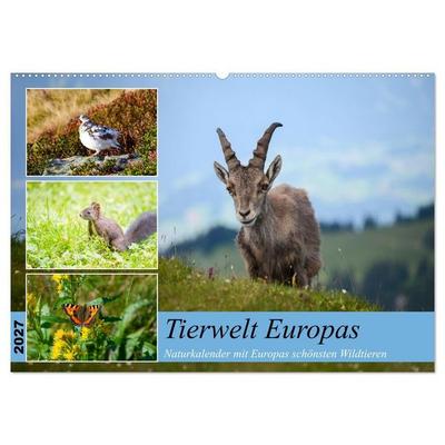Tierwelt Europas - Naturkalender mit Europas schönsten Wildtieren (Wandkalender 2027 DIN A2 quer), CALVENDO Monatskalender