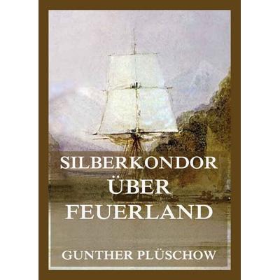 Silberkondor über Feuerland -