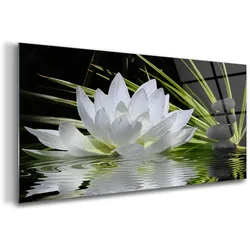 GLASBILD 120x60 cm Lotosblume