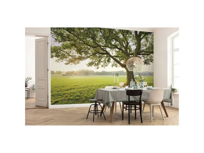 Vlies Fototapete The Magic Tree 450 x 280cm