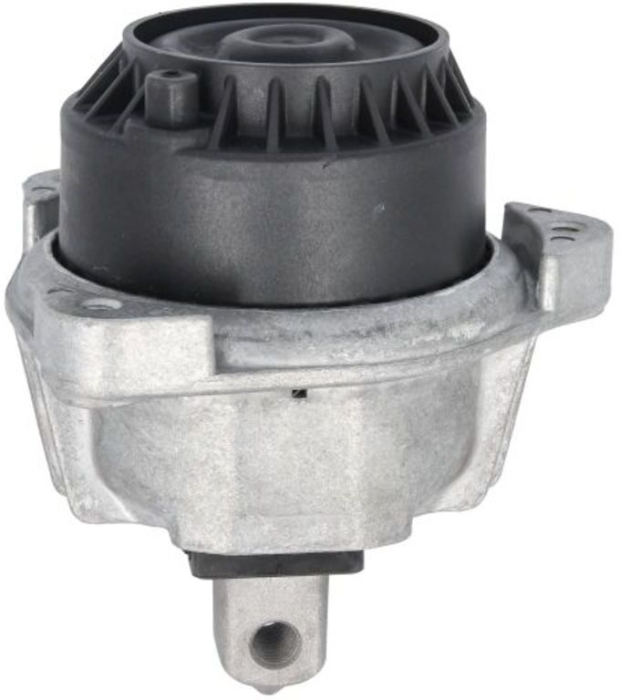 Motorträger REINHOCH RH11-3116