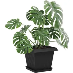 vidaXL, Blumentopf, Quadratischer Blumentopf
