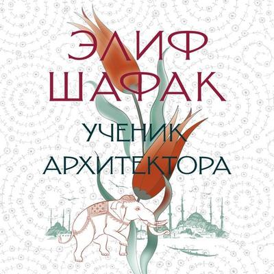 The Architect's Apprentice - Elif Shafak, Audio, 9785389216587