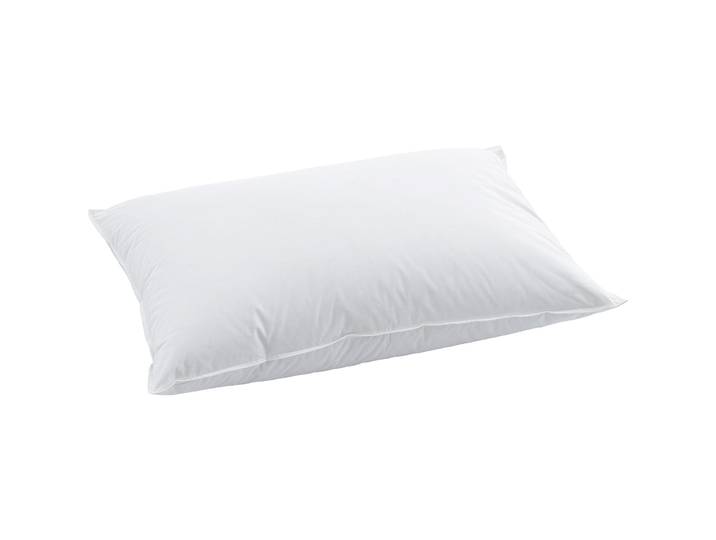 Billerbeck Kissen Tayler weiss Baumwolle/Federn Entenfedern 50 x 70 cm - Schweizer Möbelhersteller